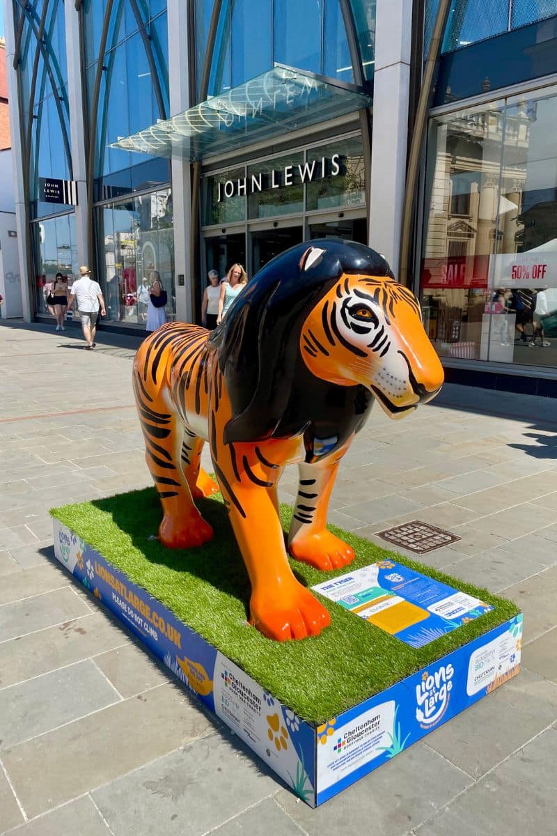Lions at Large Cheltenham & Gloucester